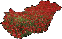 Virágos Magyarország